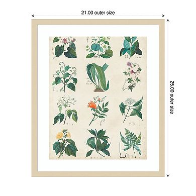 Botanical Schema II by Vision Studio Wood Framed Wall Art Print