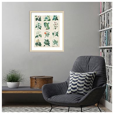 Botanical Schema II by Vision Studio Wood Framed Wall Art Print