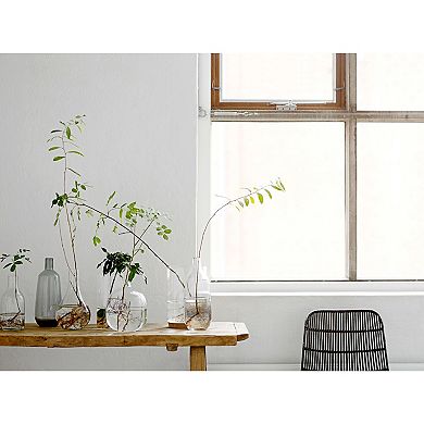 Storied Home Round Glass Vase