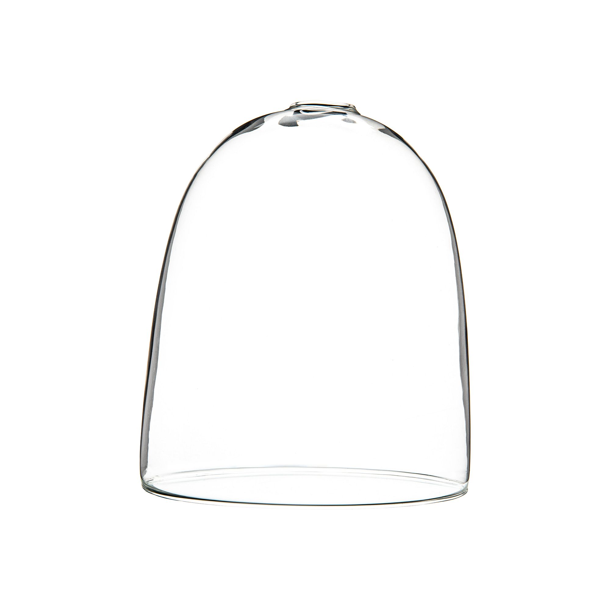 Storied Home Large Egg Shaped Glass Terrarium, Clear