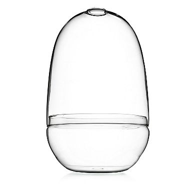 Storied Home Large Egg Shaped Glass Terrarium