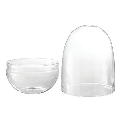 Storied Home Large Egg Shaped Glass Terrarium