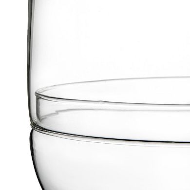 Storied Home Large Egg Shaped Glass Terrarium