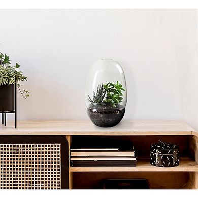 Storied Home Large Egg Shaped Glass Terrarium