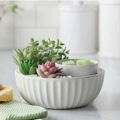 herb garden from seeds Chef's Herb Garden Seed Bundle  Botanical Interests
