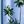 Palm Tree Panel