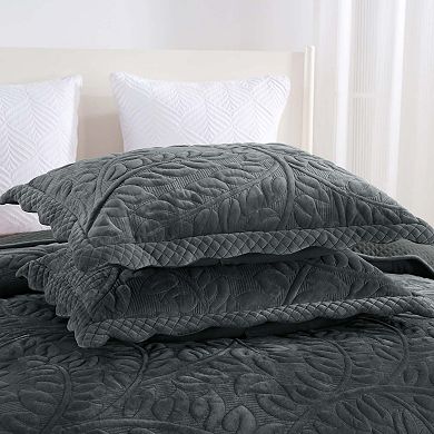 Marcielo 3Pc Luxury Velvet Oversized Embroidery Soft and Plush Quilt Set