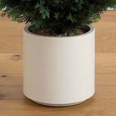 Nearly Natural 4ft. UV Resistant Artificial Cedar Tree in Decorative White Planter