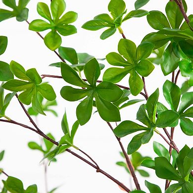 nearly natural 5-ft. Artificial Enkianthus Tree