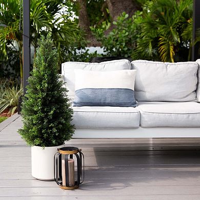 nearly natural 3-ft. Artificial Cedar Tree