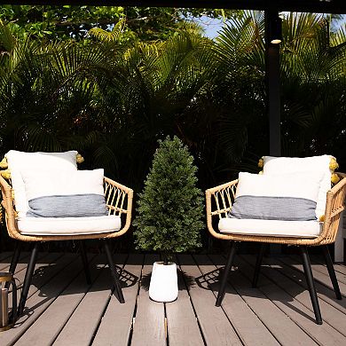 nearly natural 3-ft. Pre-Lit Artificial Cedar Tree