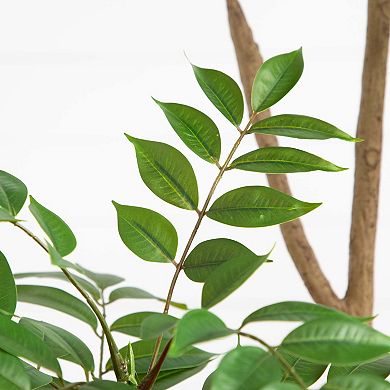 nearly natural 5-ft. Artificial Pieris Tree