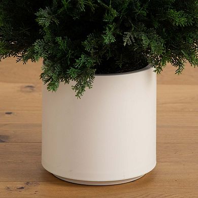 nearly natural 5-ft. Pre-Lit Artificial Cedar Tree