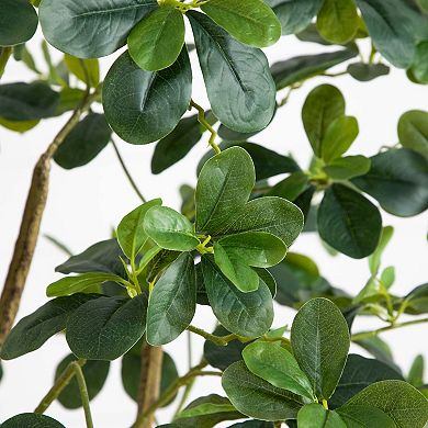 nearly natural 6-ft. Artificial Black Olive Tree