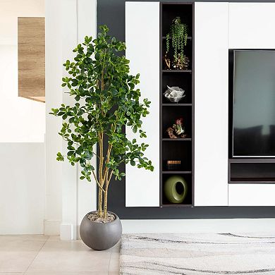 nearly natural 6-ft. Artificial Black Olive Tree