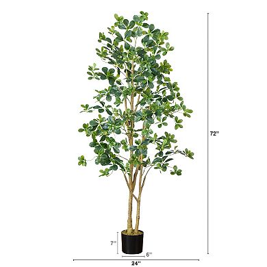 nearly natural 6-ft. Artificial Black Olive Tree