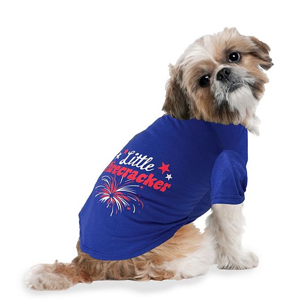 Woof Firecracker X-Large Dog Tee - Multi (SMALL)