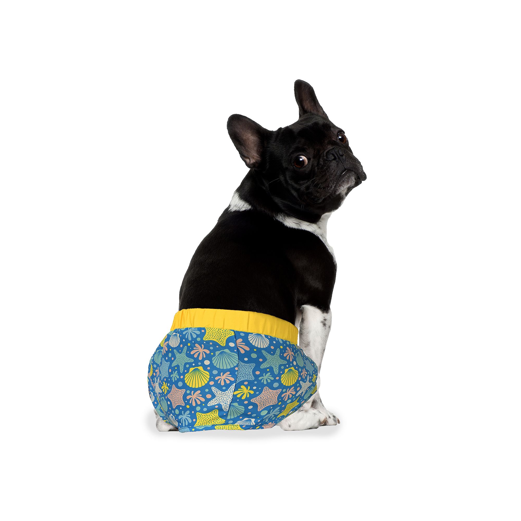 Woof Ocean X-Large Swim Trunks, Size: Medium, Multi