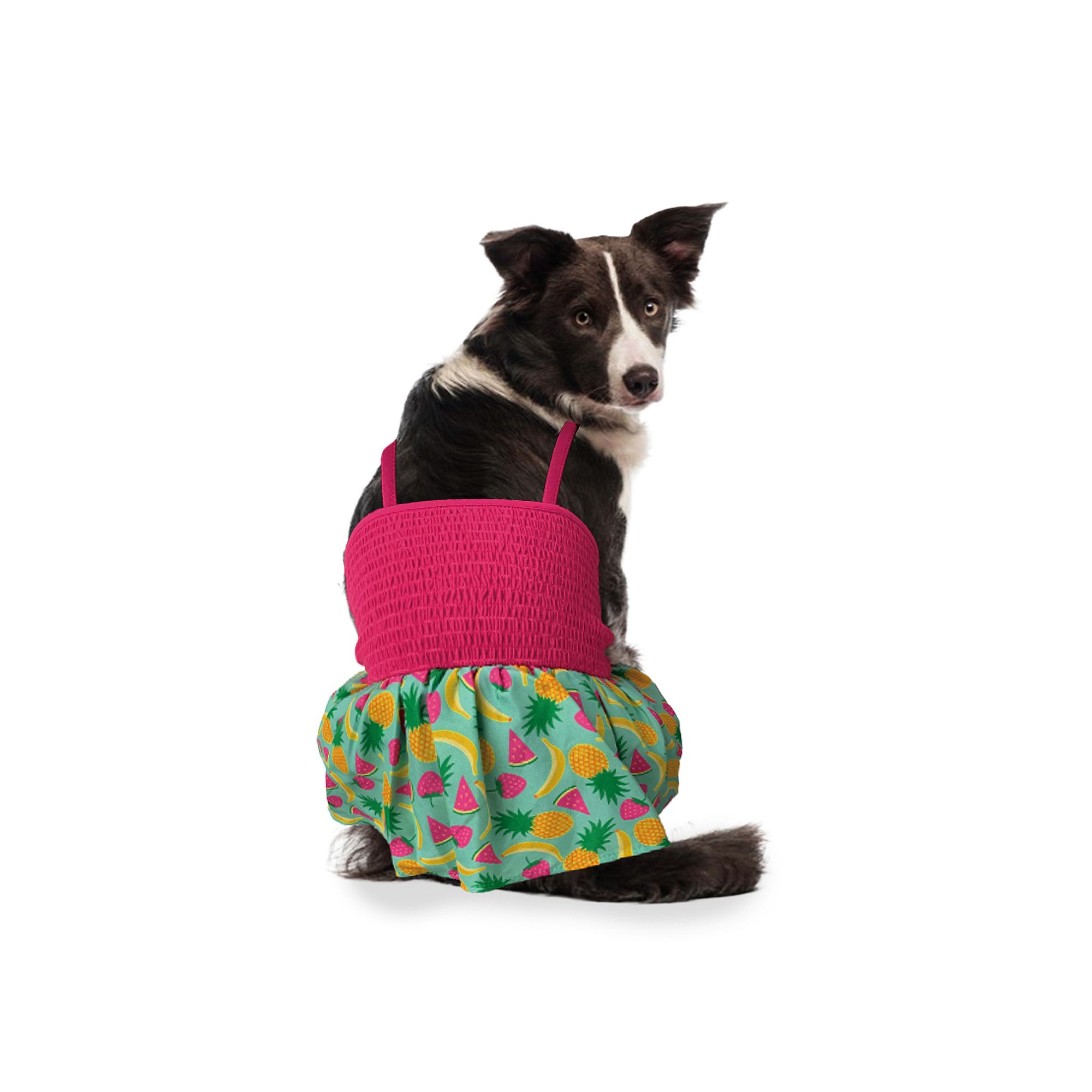 Woof Hawaiian X-Large Dog Dress, Size: Medium, Multi