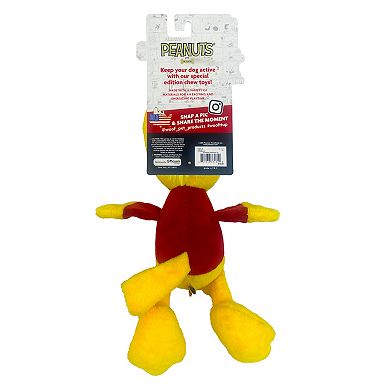 Woof Woodstock Americana Dog Toy