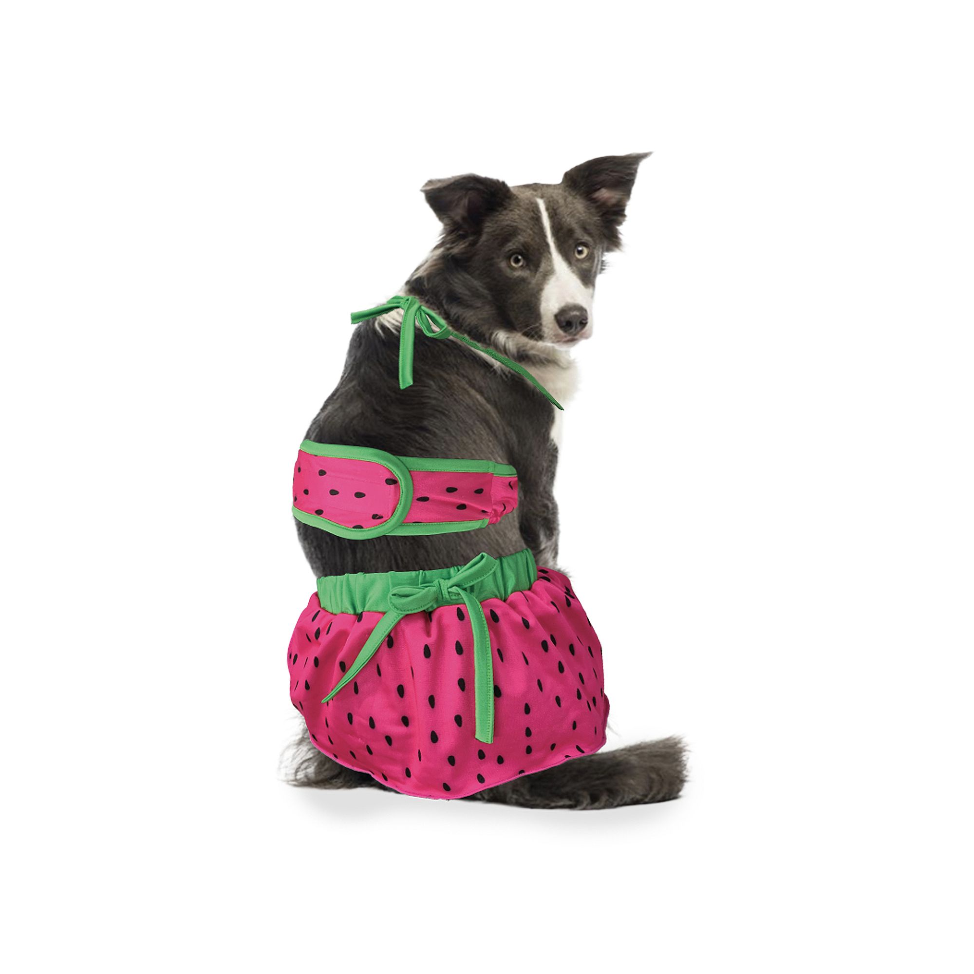 Woof Watermelon X-Large Dog Bikini, Size: XL, Multi