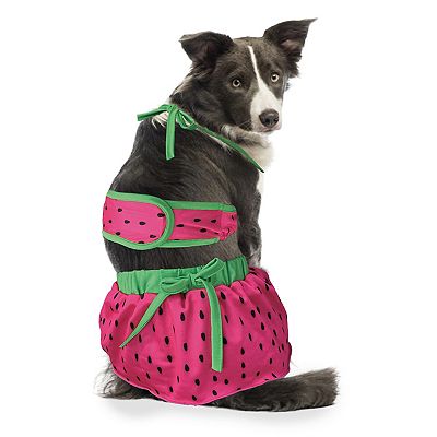 WOOF Watermelon X-Large Dog Bikini