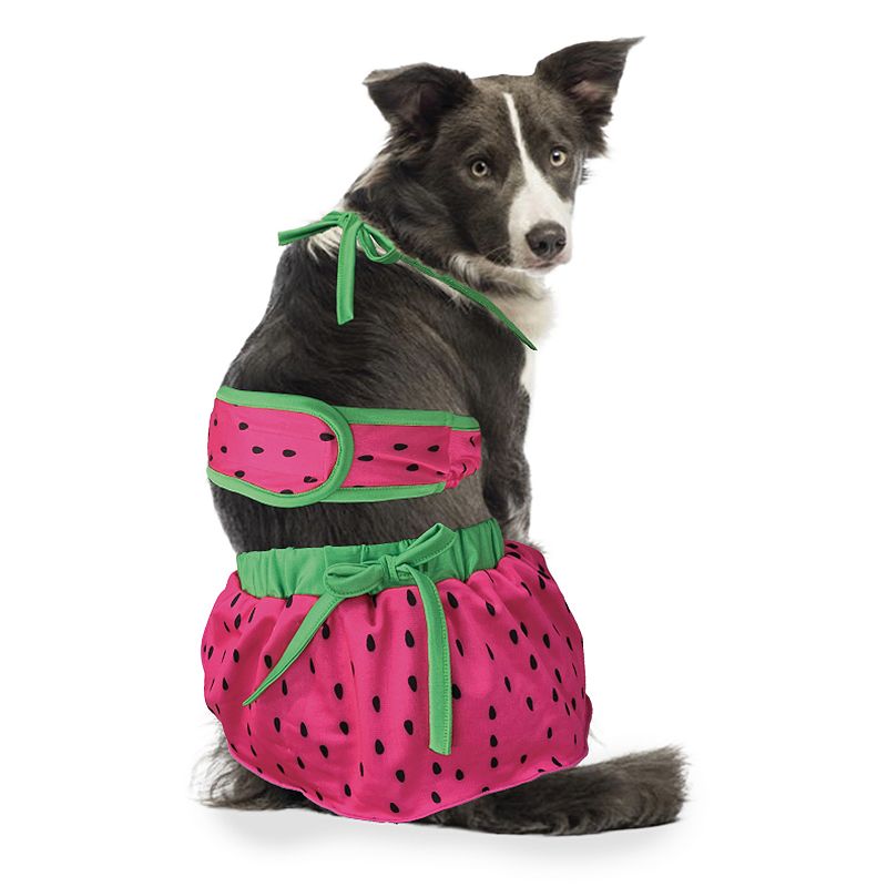 Woof Watermelon X-Large Dog Bikini, Multi