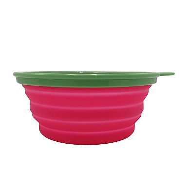 Woof Bone Feeding Travel Dog Bowl