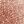 Golden Pink