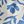 Blue Flower