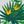 Tropical Print
