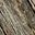 Weathered Gray