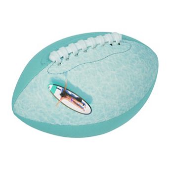 Coconut Grove Beach Water Football