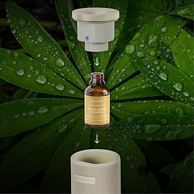HoMedics Mandarin & Basil SereneScent Fragrance Oil