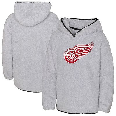 Uo super soft teddy hoodie sales
