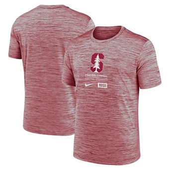 Men's Nike Cardinal Stanford Cardinal Campus Center Block Velocity Performance T-Shirt