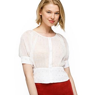 Sheer Fitted Sleeve Crop Top Blouse