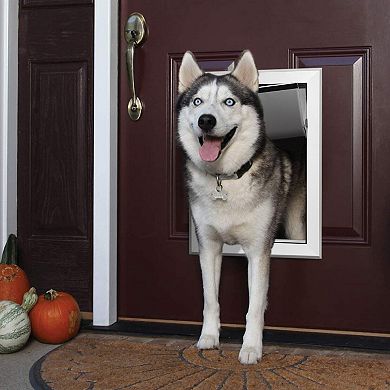 Pet Dogs Large Metal Magnetic Locking Single-flap Door