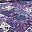 Lavender Multi