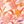 Pink Paisley Floral