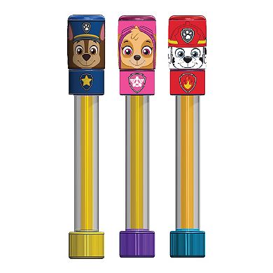 What Kids Want 3-pk Paw Patrol Water Blaster