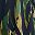 Navy Green Citron