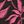 Black Pink