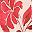 Ivory Red