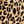 Tan Jana Leopard