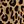 Tan Jana Leopard