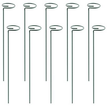 10-Pack 16 in Garden Plant Support Stakes Iron Rings for Single Stem Flowers & Vegetables
