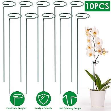 10-Pack 16in Garden Plant Support Stakes Iron Rings for Single Stem Flowers & Vegetables