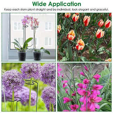 10-Pack 16in Garden Plant Support Stakes Iron Rings for Single Stem Flowers & Vegetables