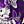 Purple Floral